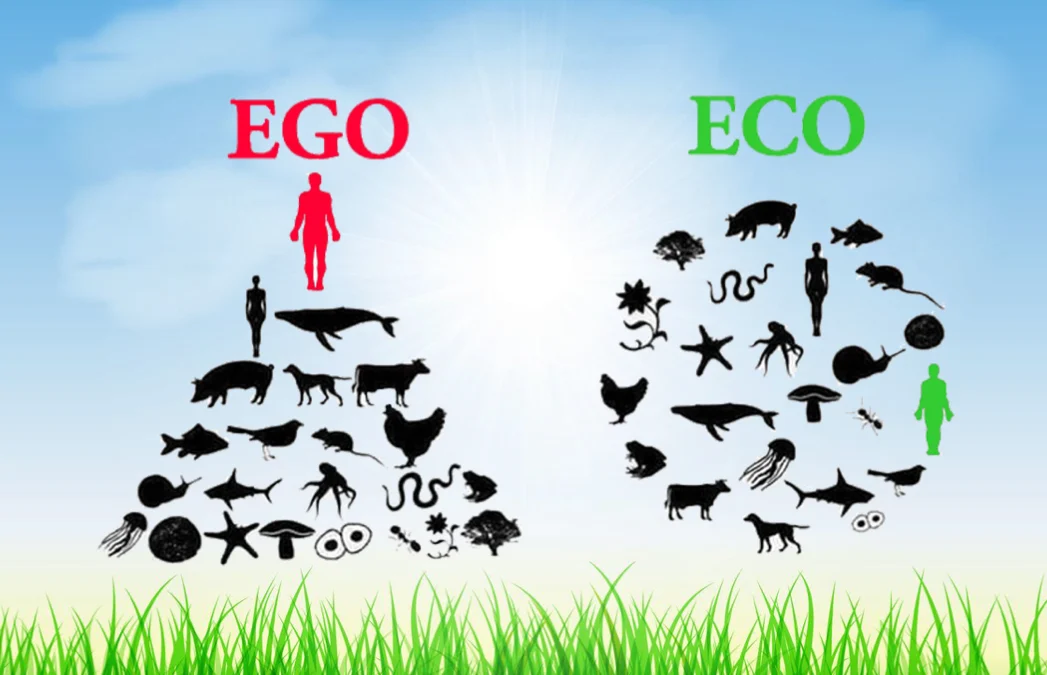 Ego vs Eco