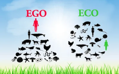 Ego vs Eco