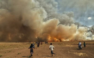 Promoting Peace for People and the Planet