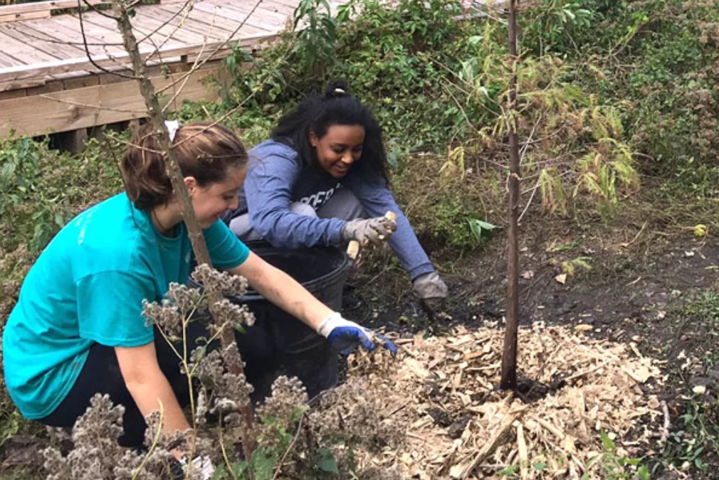 Restoring Nature to Restore Ourselves