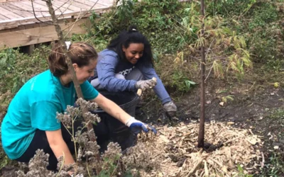 Restoring Nature to Restore Ourselves