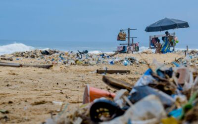 Battling Plastic Pollution: India’s Struggle with Single-Use Plastics