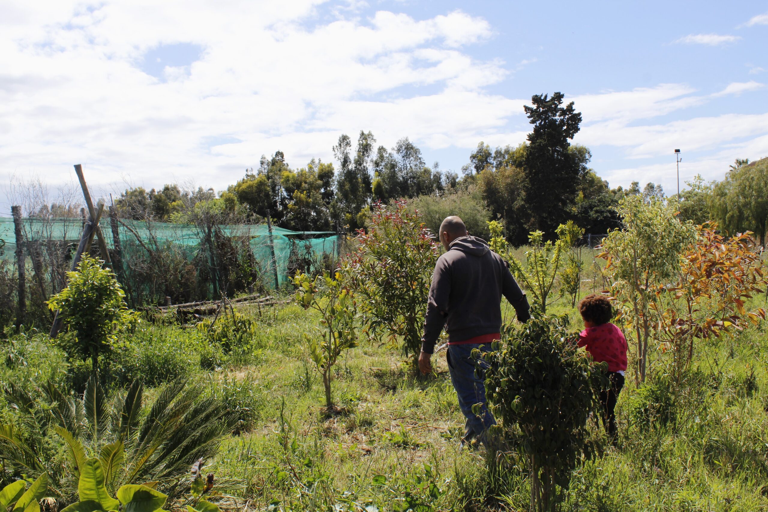 Finding middle ground: Perspectives on sustainable living in rural Italy