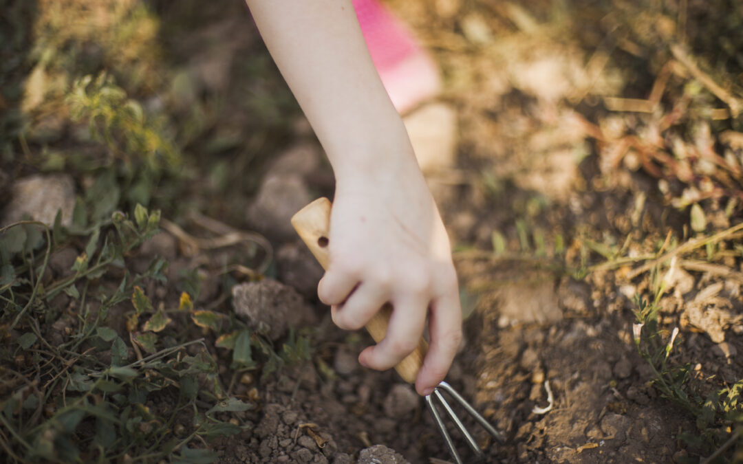 The Persistent Plight of Child Labor in India