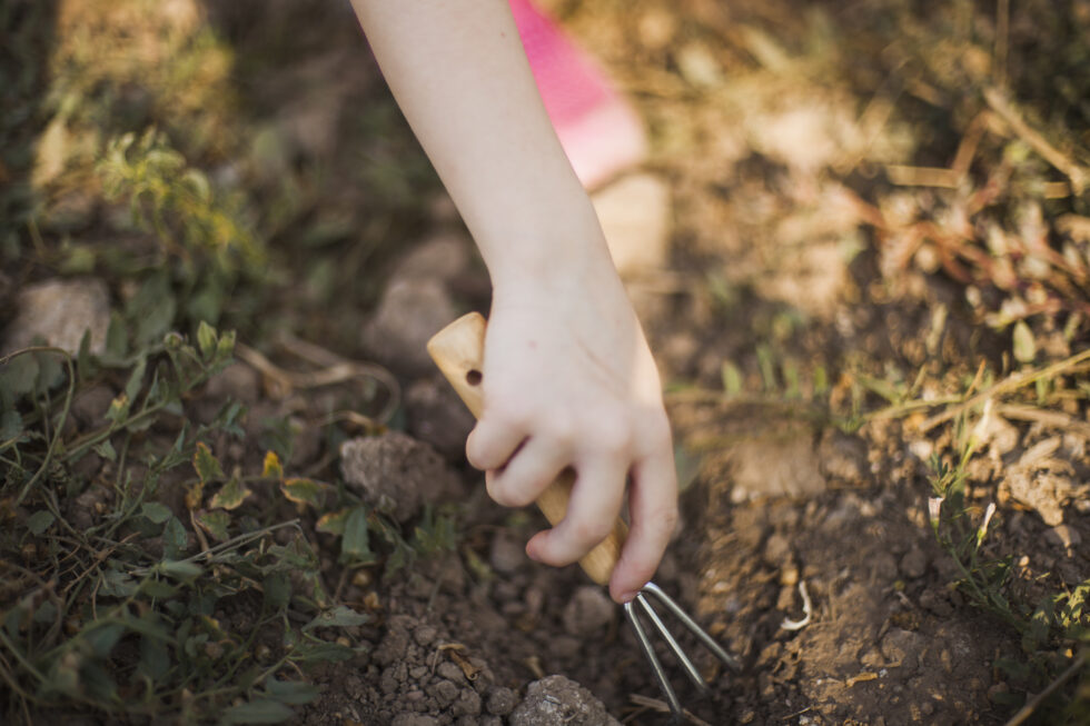 The Persistent Plight of Child Labor in India The 50 Percent