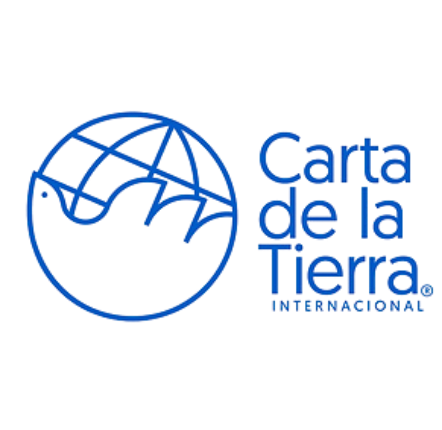 THE 50 PERCENT TEAM (11)