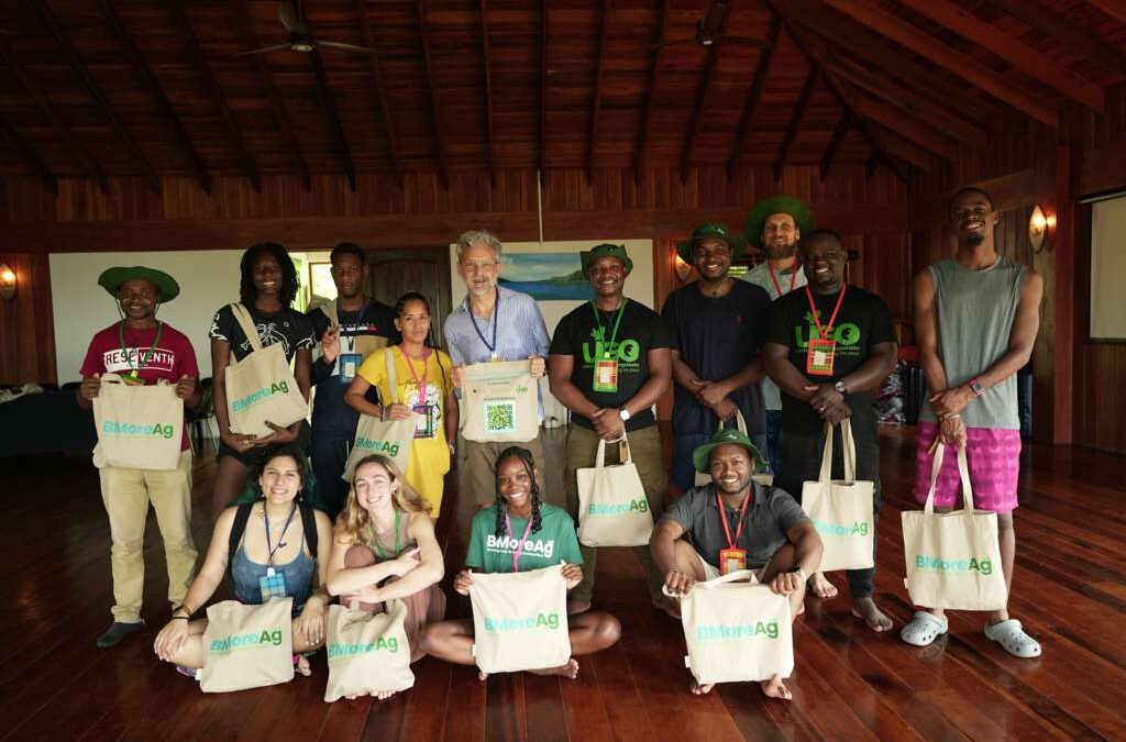 From storytelling to systems change: Lessons from the Catalyst Programme in Dominica