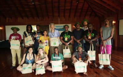 From storytelling to systems change: Lessons from the Catalyst Programme in Dominica