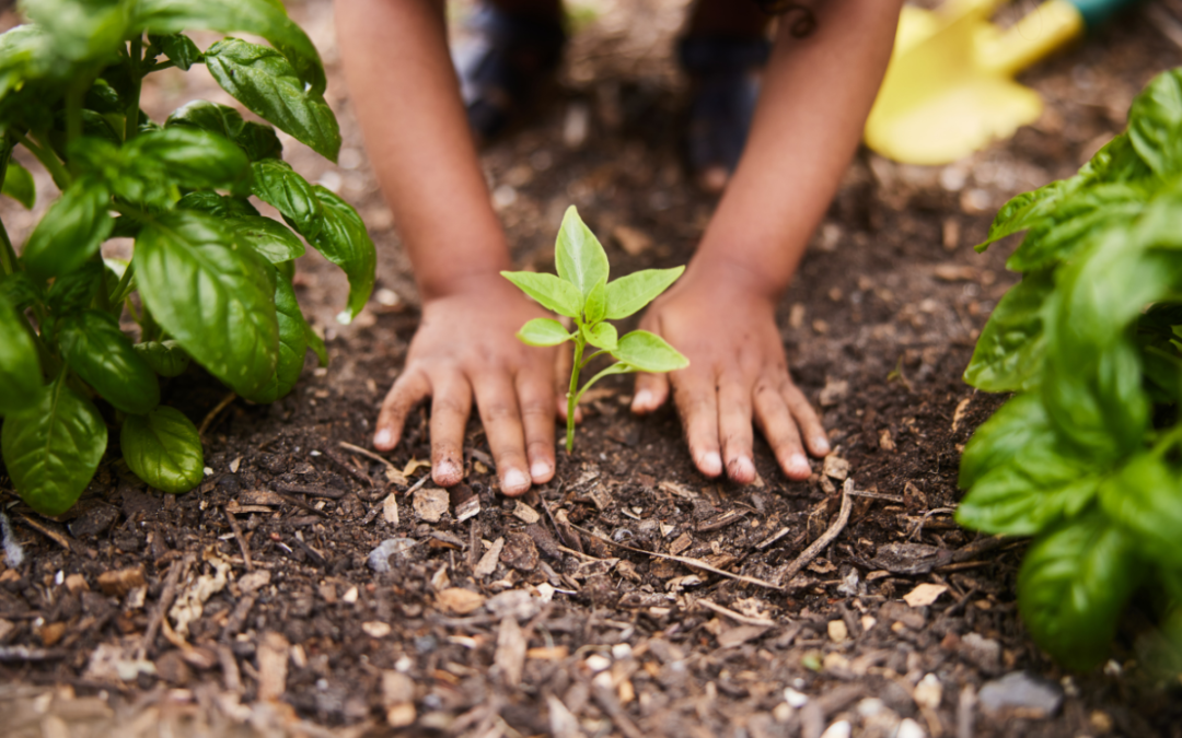We are not waiting: how young leaders are redefining climate justice 