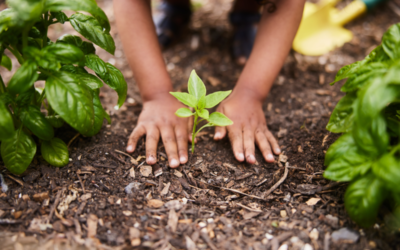 We are not waiting: how young leaders are redefining climate justice 